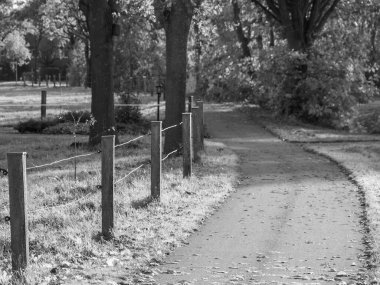 Westphalia Borken 'de sonbahar zamanı