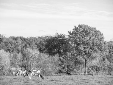 Westphalia Borken 'de sonbahar zamanı