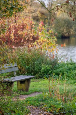 Westphalia Borken 'de sonbahar zamanı