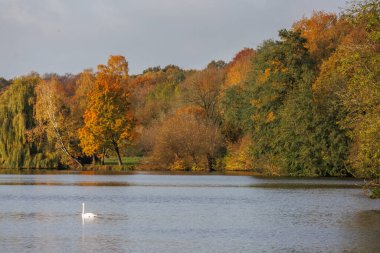 Westphalia Borken 'de sonbahar zamanı