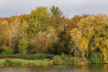 Westphalia Borken 'de sonbahar zamanı