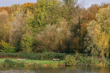 Westphalia Borken 'de sonbahar zamanı