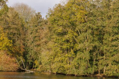Westphalia Borken 'de sonbahar zamanı