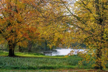 Westphalia 'da bir gölde sonbahar zamanı