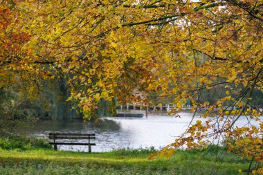 Westphalia 'da bir gölde sonbahar zamanı