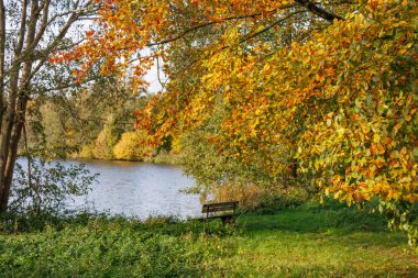 Westphalia 'da bir gölde sonbahar zamanı