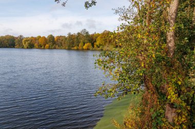Westphalia 'da bir gölde sonbahar zamanı