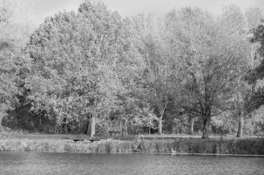 Westphalia 'da bir gölde sonbahar zamanı