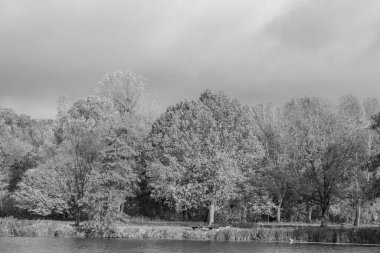 Westphalia 'da bir gölde sonbahar zamanı