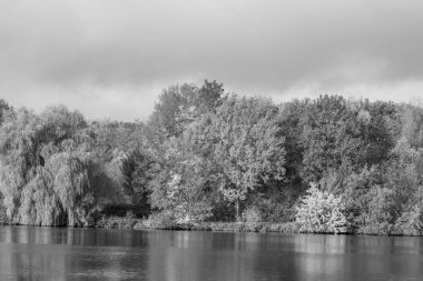 Westphalia 'da bir gölde sonbahar zamanı