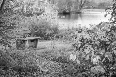 Westphalia 'da bir gölde sonbahar zamanı