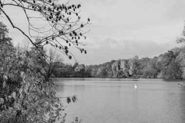 Westphalia 'da bir gölde sonbahar zamanı