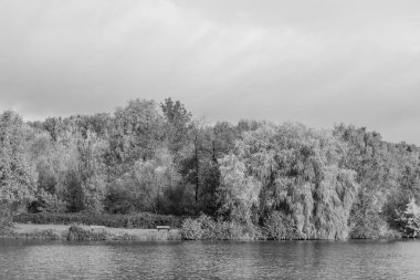 Westphalia 'da bir gölde sonbahar zamanı