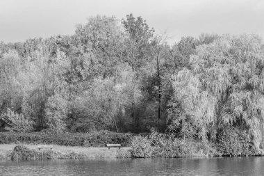 Westphalia 'da bir gölde sonbahar zamanı