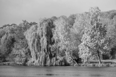Westphalia 'da bir gölde sonbahar zamanı