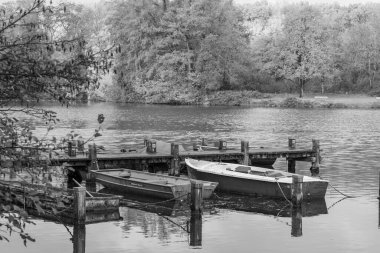 Westphalia 'da bir gölde sonbahar zamanı