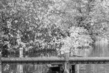 Westphalia 'da bir gölde sonbahar zamanı