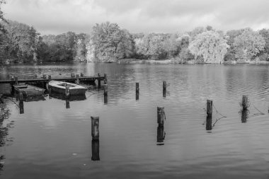 Westphalia 'da bir gölde sonbahar zamanı