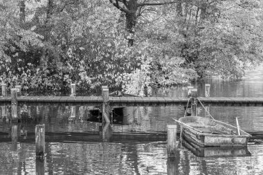 Westphalia 'da bir gölde sonbahar zamanı