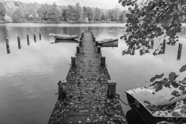 Westphalia 'da bir gölde sonbahar zamanı