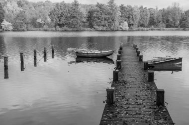 Westphalia 'da bir gölde sonbahar zamanı