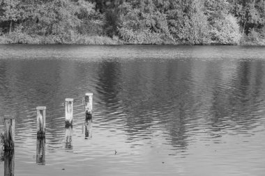 Westphalia 'da bir gölde sonbahar zamanı