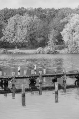 Westphalia 'da bir gölde sonbahar zamanı