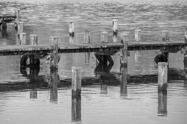 Westphalia 'da bir gölde sonbahar zamanı