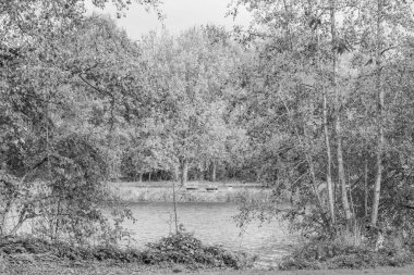 Westphalia 'da bir gölde sonbahar zamanı