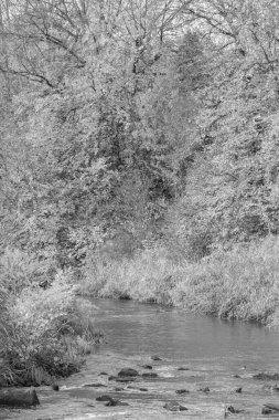 Westphalia 'da bir gölde sonbahar zamanı