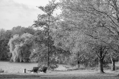 Westphalia 'da bir gölde sonbahar zamanı