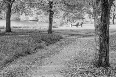 Alman Muensterland 'inde sonbahar zamanı