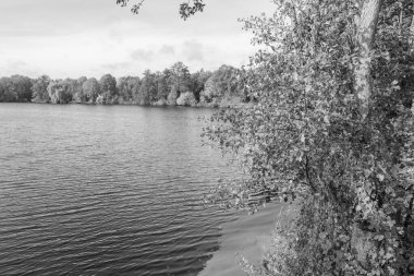 Alman Muensterland 'inde sonbahar zamanı