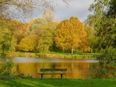Alman Muensterland 'inde sonbahar zamanı