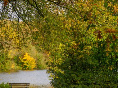 Alman Muensterland 'inde sonbahar zamanı