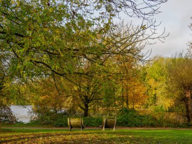 Alman Muensterland 'inde sonbahar zamanı