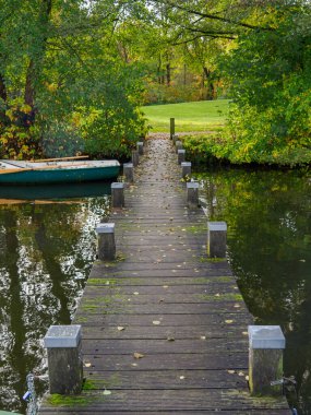 Alman Muensterland 'inde sonbahar zamanı