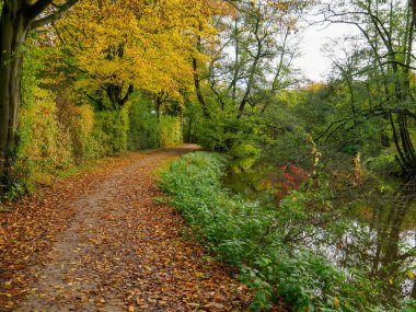 Alman Muensterland 'inde sonbahar zamanı