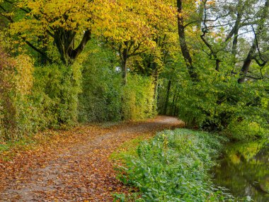 Alman Muensterland 'inde sonbahar zamanı