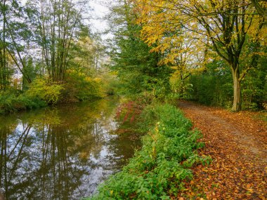 Alman Muensterland 'inde sonbahar zamanı