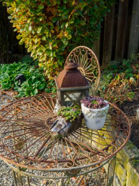 Alman Muensterland 'inde sonbahar zamanı