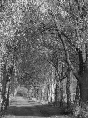 Alman Muensterland 'inde sonbahar zamanı
