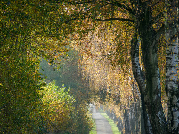 autumn time in the german muensterland