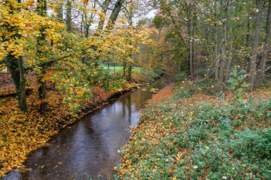 Alman Muensterland 'inde sonbahar zamanı