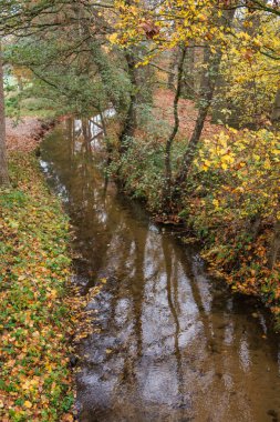 Alman Muensterland 'inde sonbahar zamanı