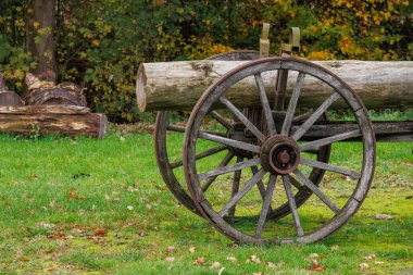 Alman Muensterland 'inde sonbahar zamanı