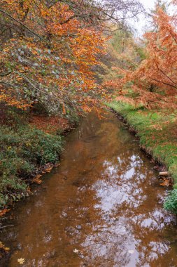 Alman Muensterland 'inde sonbahar zamanı