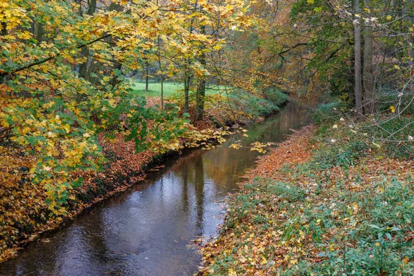 Alman Muensterland 'inde sonbahar zamanı