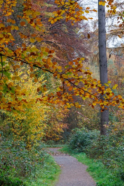 Alman Muensterland 'inde sonbahar zamanı