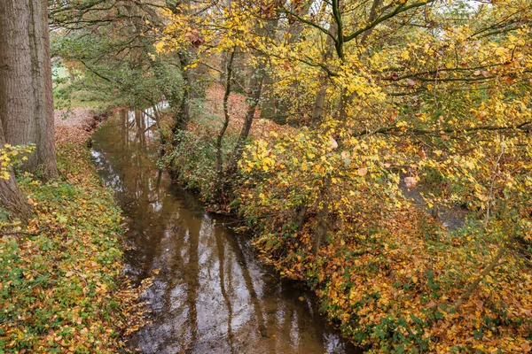 Alman Muensterland 'inde sonbahar zamanı
